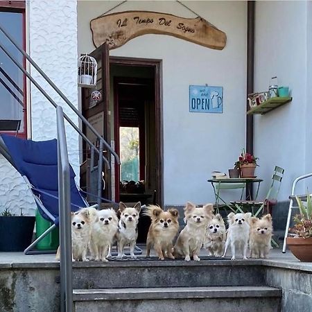 B&B Il Tempo Del Sogno Con Cani E Gatti Pet&Breakfast 바메노 외부 사진