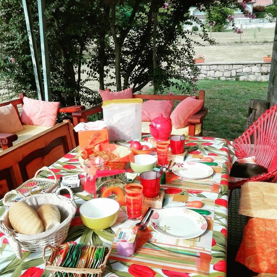 B&B Il Tempo Del Sogno Con Cani E Gatti Pet&Breakfast 바메노 외부 사진