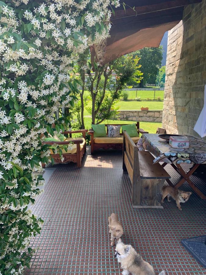 B&B Il Tempo Del Sogno Con Cani E Gatti Pet&Breakfast 바메노 외부 사진