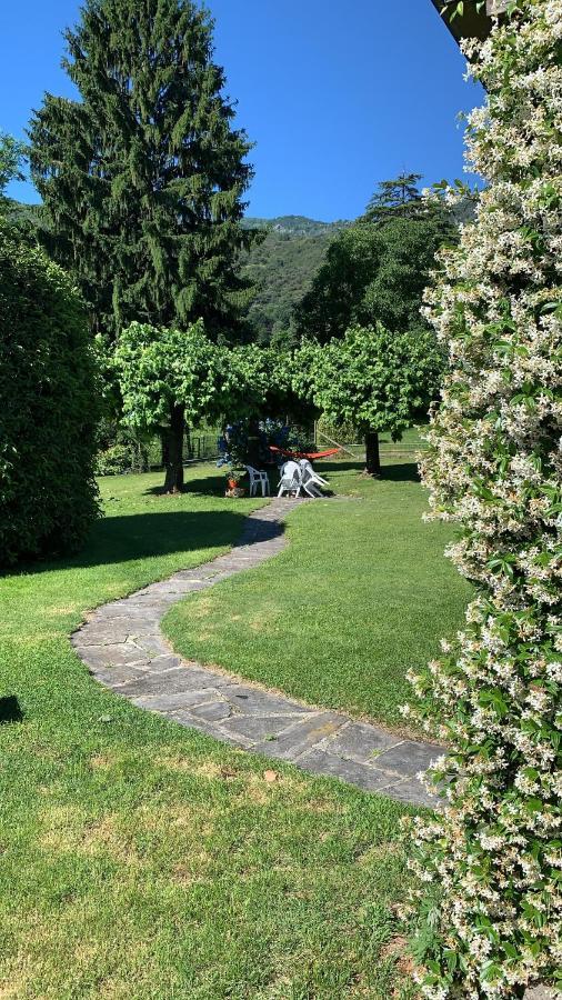 B&B Il Tempo Del Sogno Con Cani E Gatti Pet&Breakfast 바메노 외부 사진